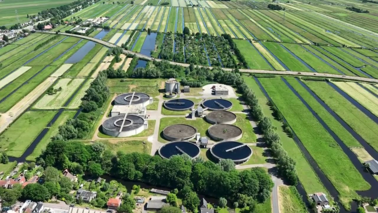 Case Studies: Successful Remediation Projects
