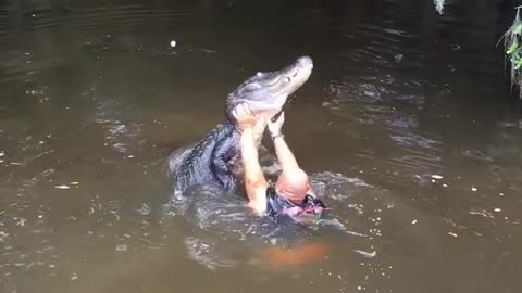 Feeding a crocodile 😱
