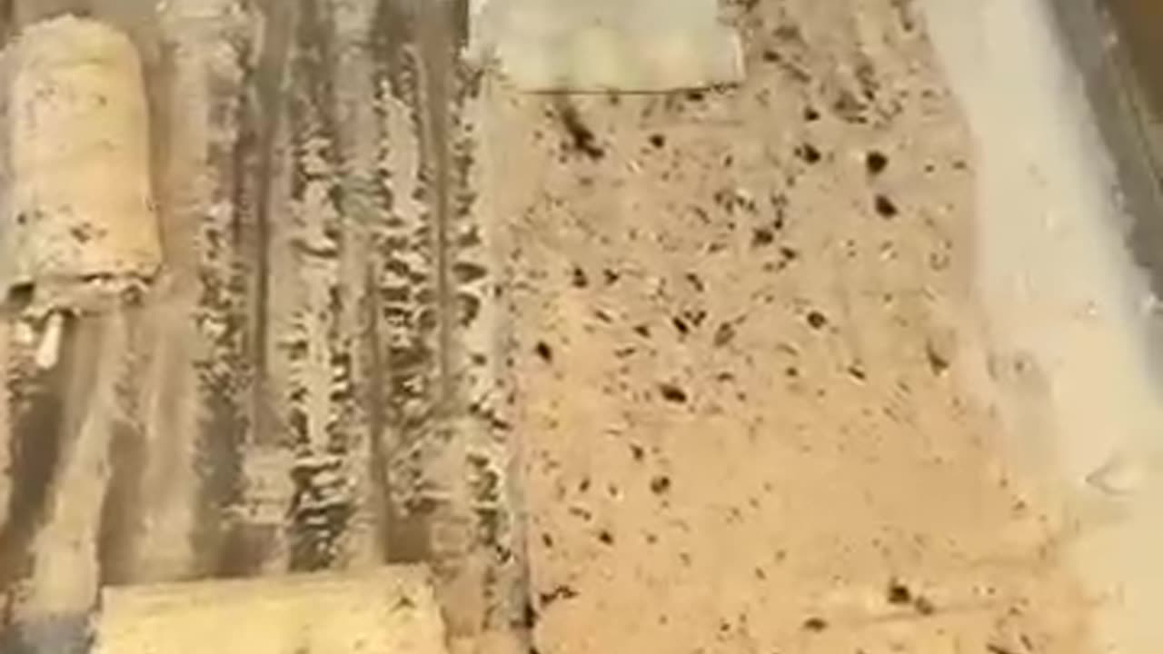 Satisfying Oreo Rolled Ice Cream on Ice Pan – ASMR Street Dessert!