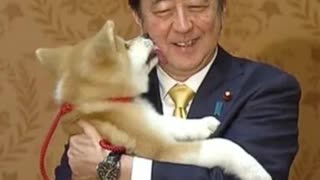 Never forget #restinpeace #ShinzoAbe #meme #memes #gamermemes #game #games #gameplay #gaming