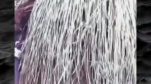 😨👻 Unexplained Paranormal Phenomena Caught on Camera! | TheHauntingHour