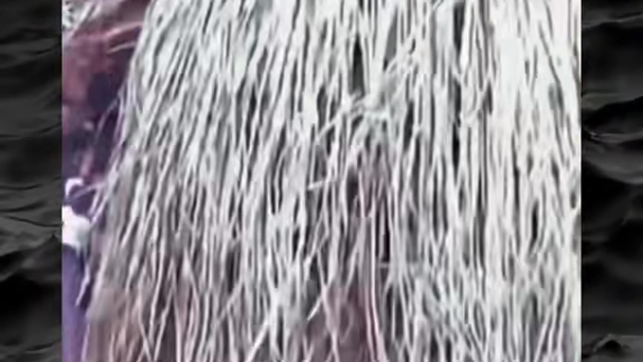 😨👻 Unexplained Paranormal Phenomena Caught on Camera! | TheHauntingHour