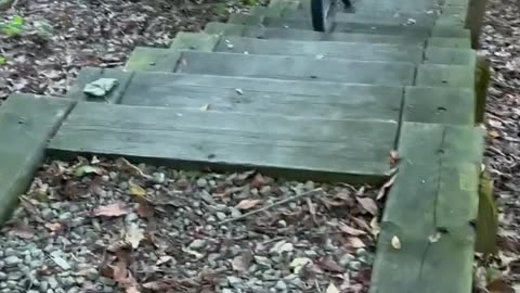 Cyclist Tumbles Over Log Barrier