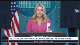 Karoline Leavitt: Domestic Terrorists Will Be Held Accountable In The U.S