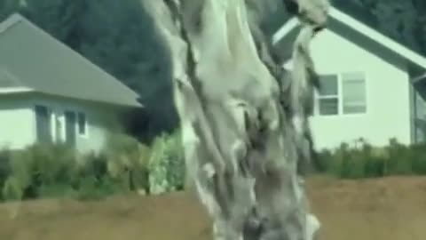 😨🔥 Skin Walker Spotted Changing Forms! | TheHauntingHour