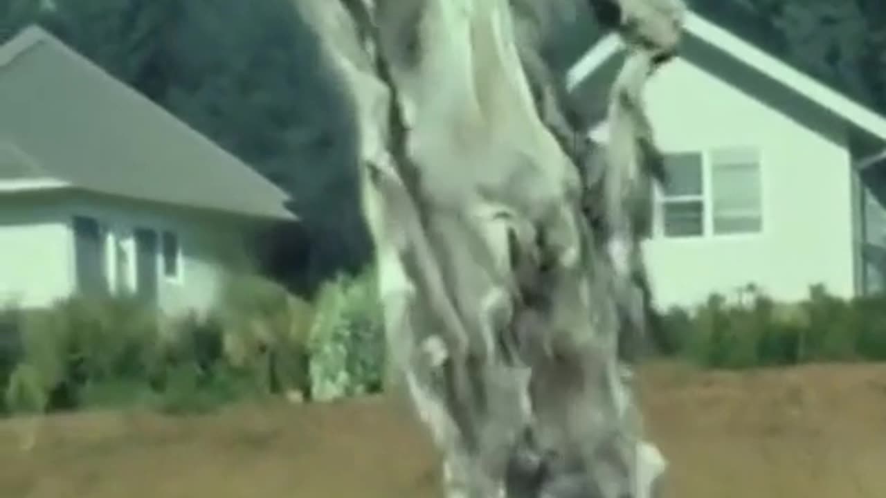 😨🔥 Skin Walker Spotted Changing Forms! | TheHauntingHour