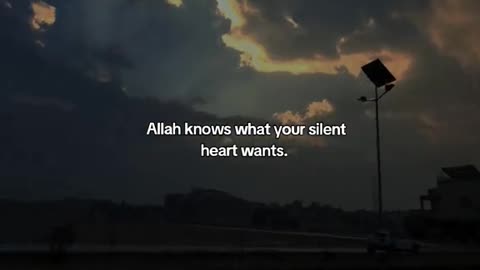 Jaza kallah ♥️✨