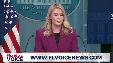 Karoline Leavitt Smacks Down Lib Reporter With Just Three Words