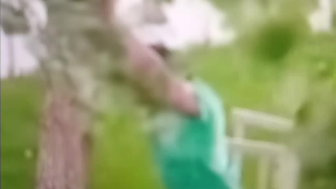 Man tries to save tree from storm