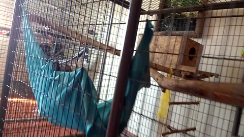 Minnie greets the bnkywuv