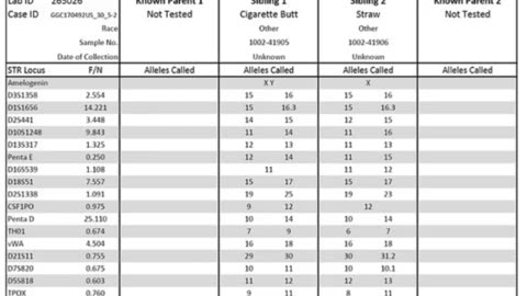 It has been alledged that rep Ilhan Omar married her brother Ahmed Nur Said Elmi