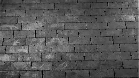 WOMAN POWER - WOMAN POWER - 208 234 R 2