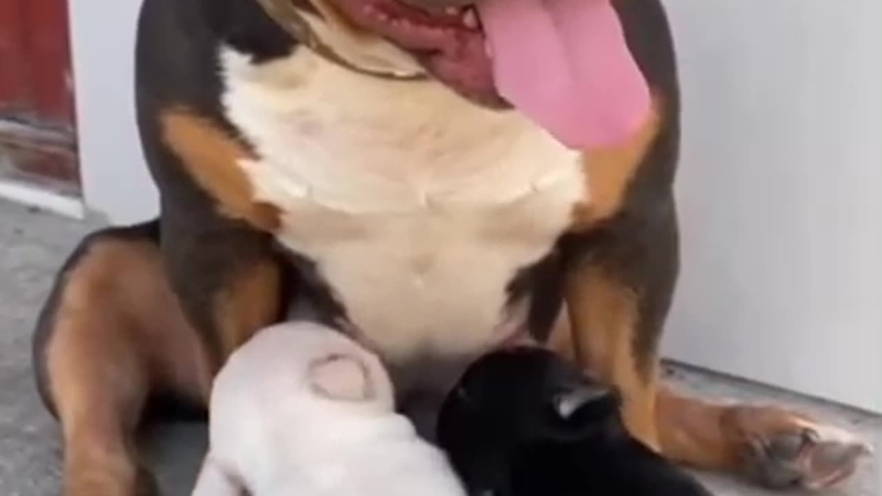 Mothers Are All the Same