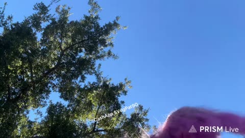 10/28/25 Vegan Patriot VOD: "Corrupt These Thoughts Are Once Again. Holding My Tongue"