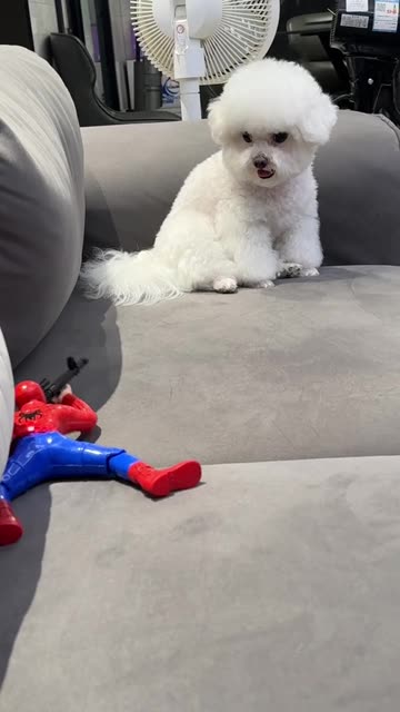 The song should play “SHOULD I STAY OR SHOULD I GO” by The Clash