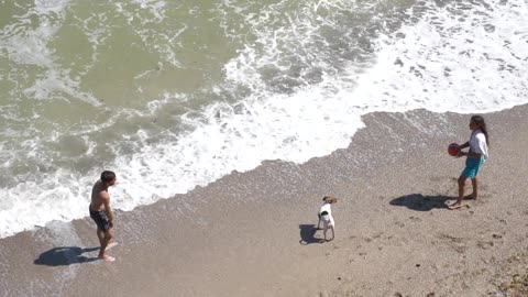 Happy Couple Playing with ball on the Beach with Dog