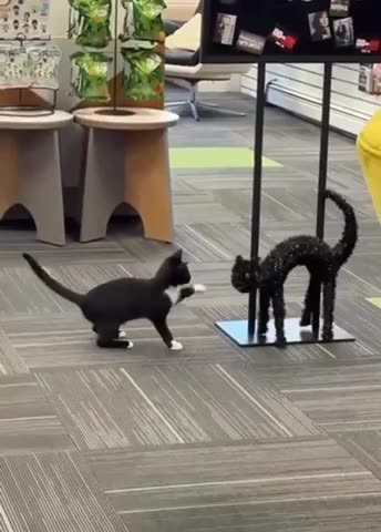 Jab jab jab then then right to the head