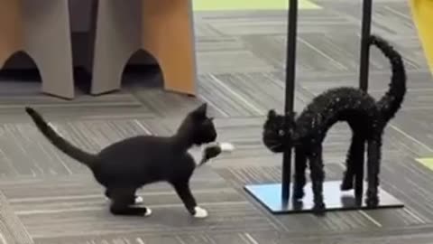 Jab jab jab then then right to the head