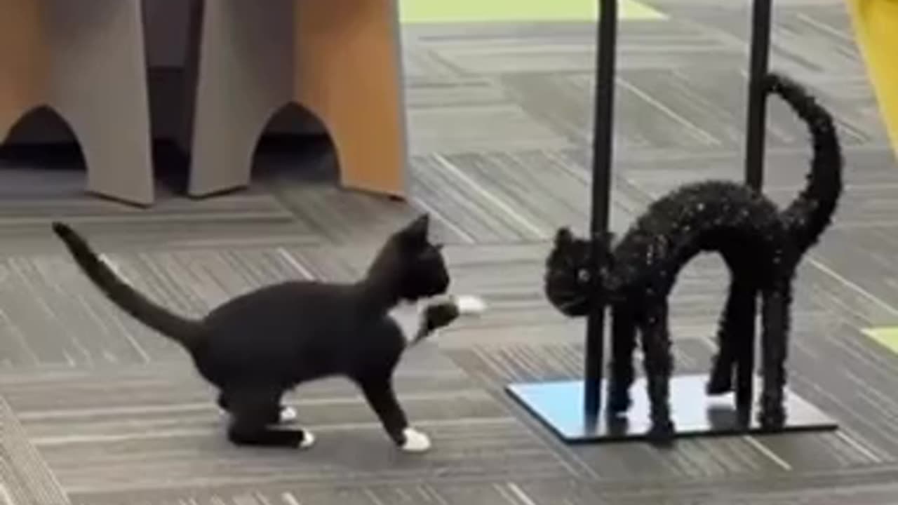 Jab jab jab then then right to the head