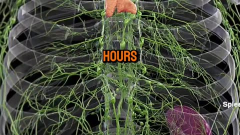 Surprising Health Benefits You Didn’t Know!