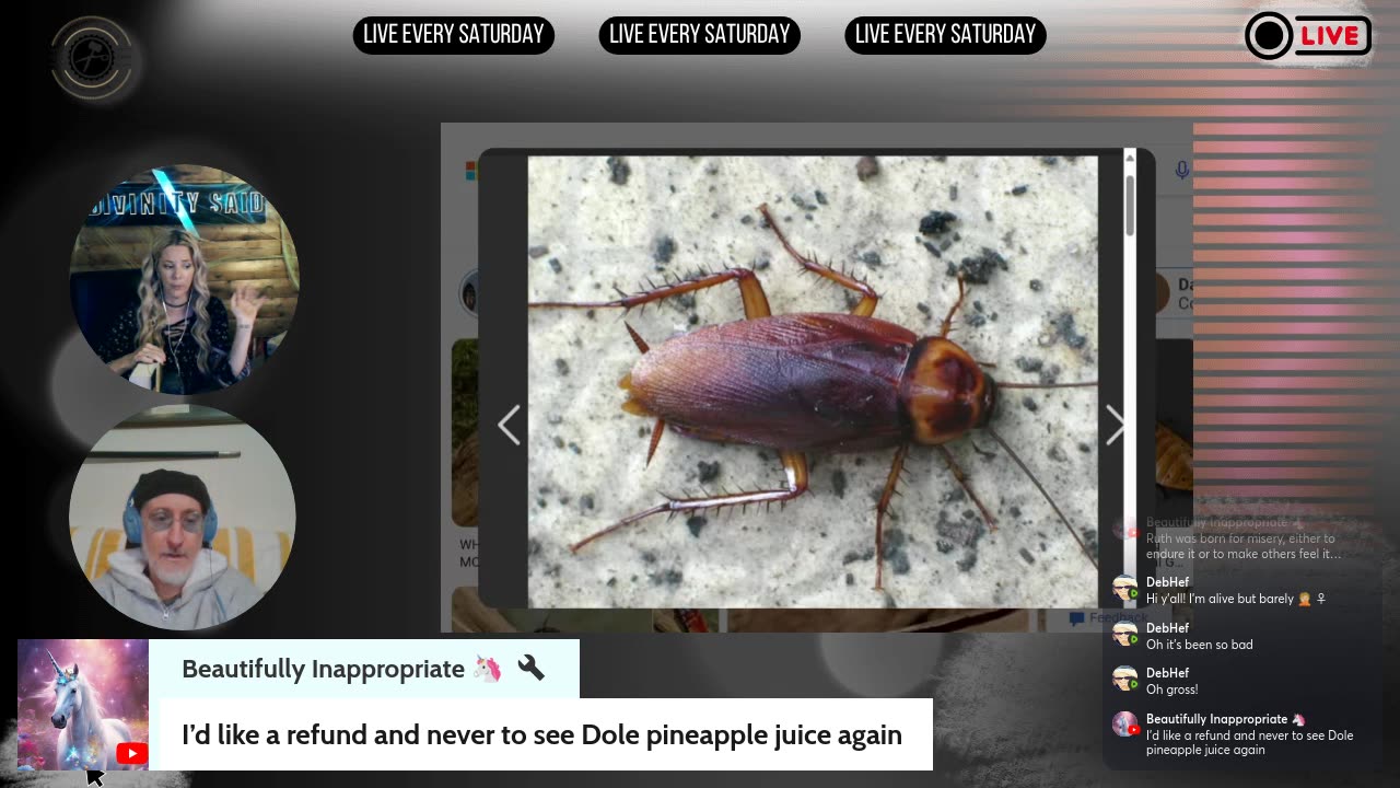 Does Jesus HAVE TO BE God? | Bible Study