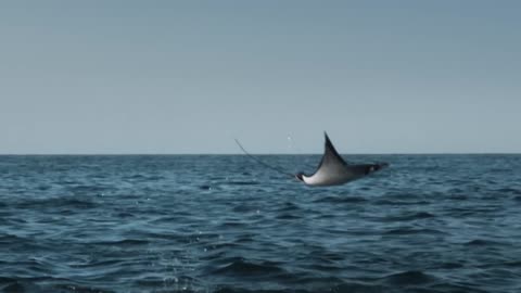 Unique Earth: The Essence of Water | Full Documentary