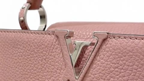 LOUIS VUITTON CAPUCINES HANDBAG