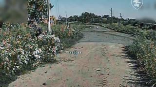 🕸️💥 Ukraine Russia War | Ukrainian FPV Drones Ambush Russian Forces in Sumy | RCF