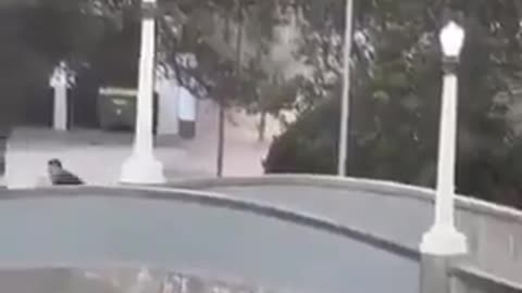 🇦🇺 A Hero saved Jews from the "People's Avenger" in the Sydney Chanukah Attack