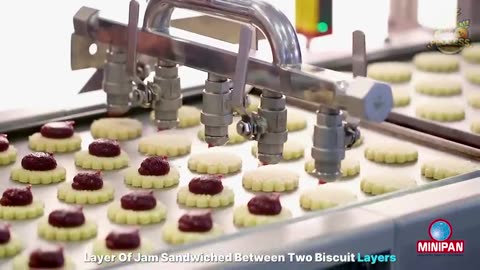 "Inside the Marshmallow MEGA Factory: How Millions are Made | Tech Unleashed!"