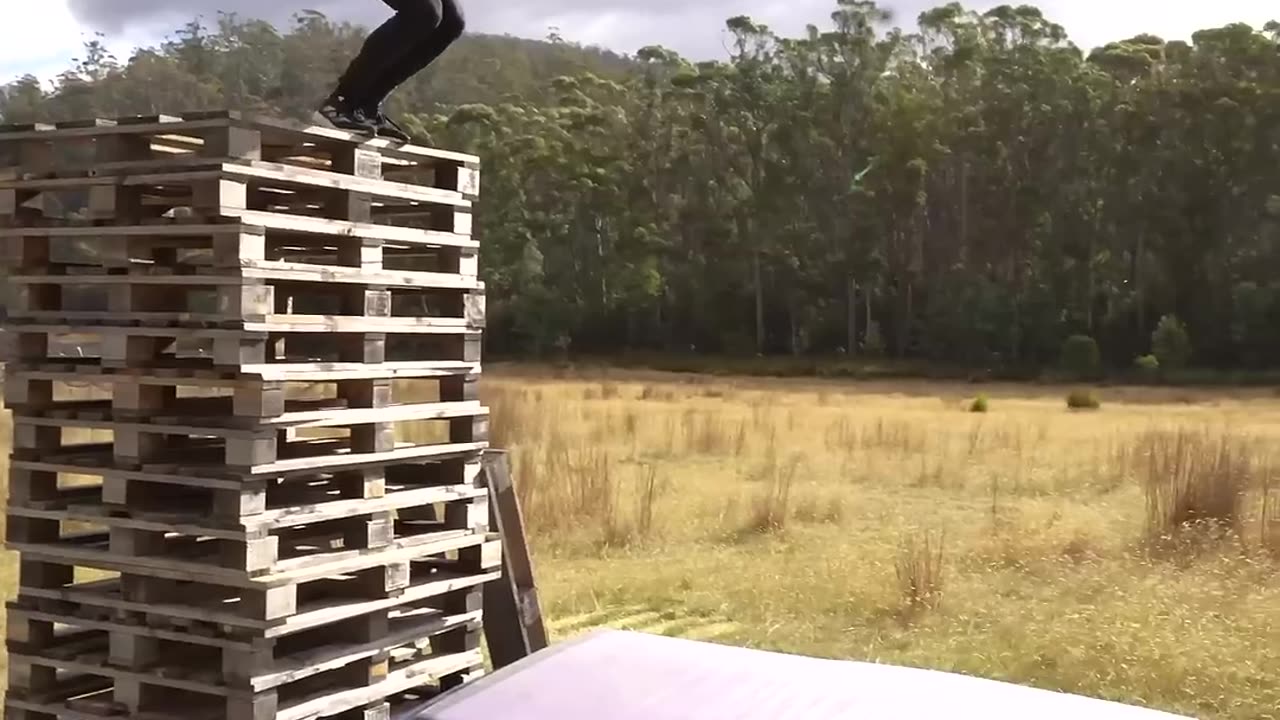 How different animals take fall damage.