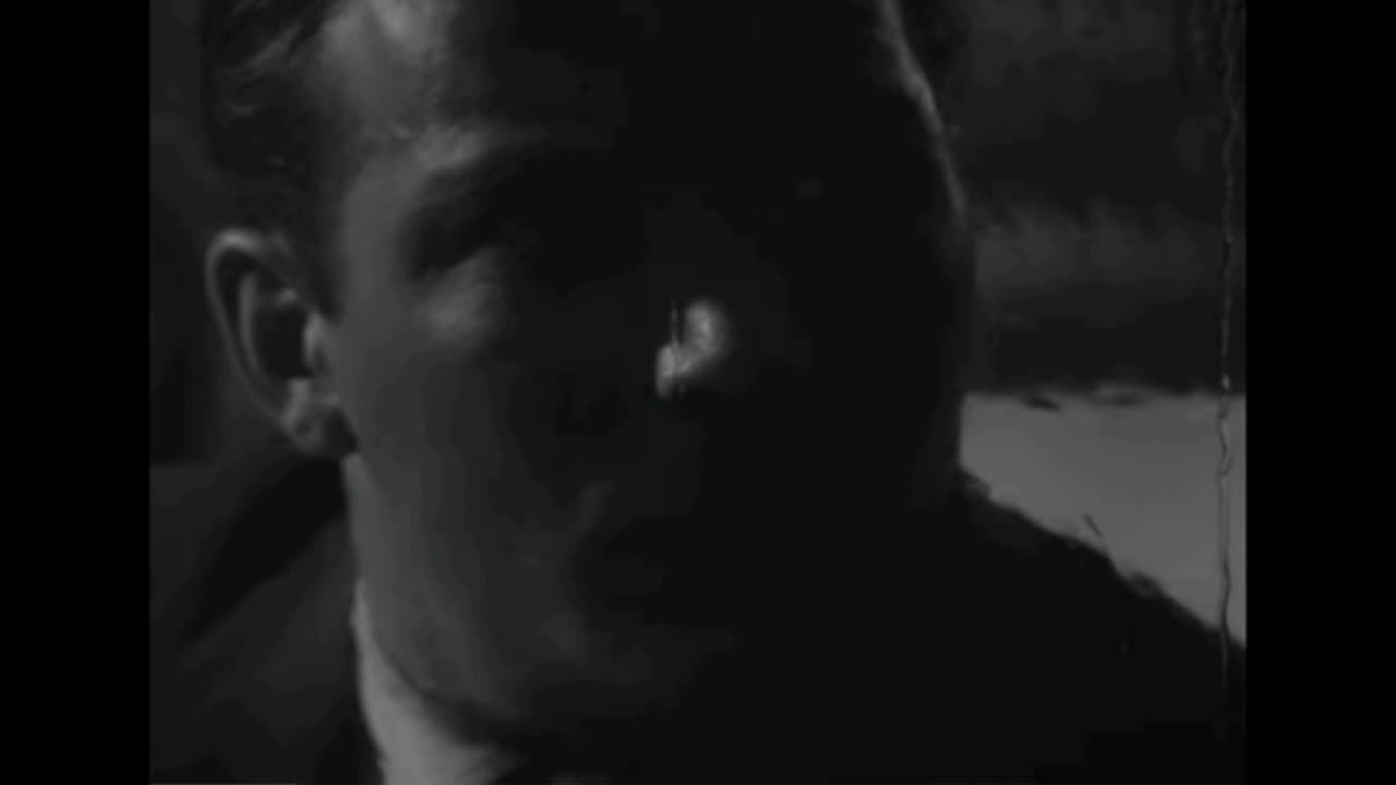 Shatner 21 jiggawatts