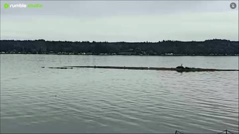 Mostly Cloudy and windy