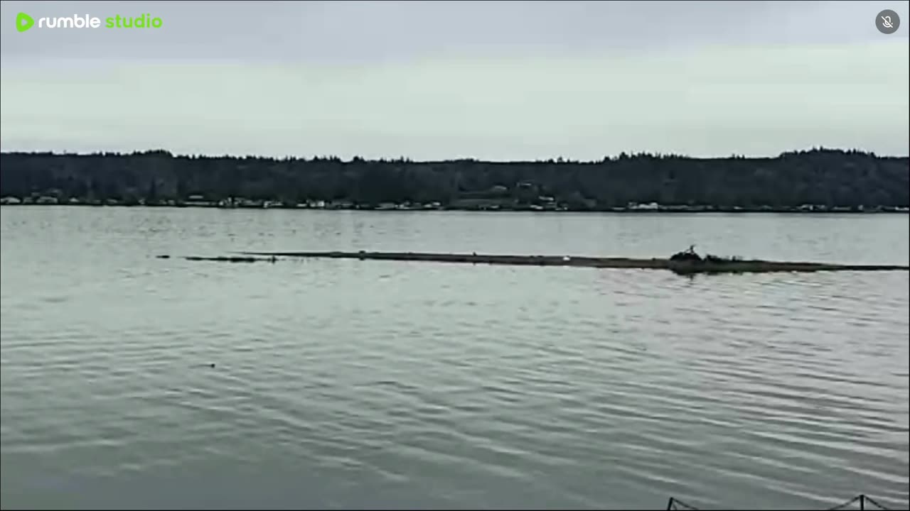 Mostly Cloudy and windy