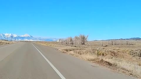 Shia, video recorded 4:46 PM Nov 24, '25 by Alyssa