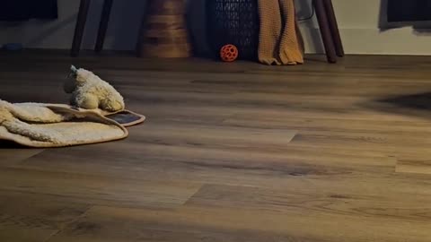 inside @gtharealest house