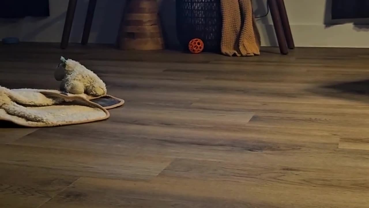 inside @gtharealest house