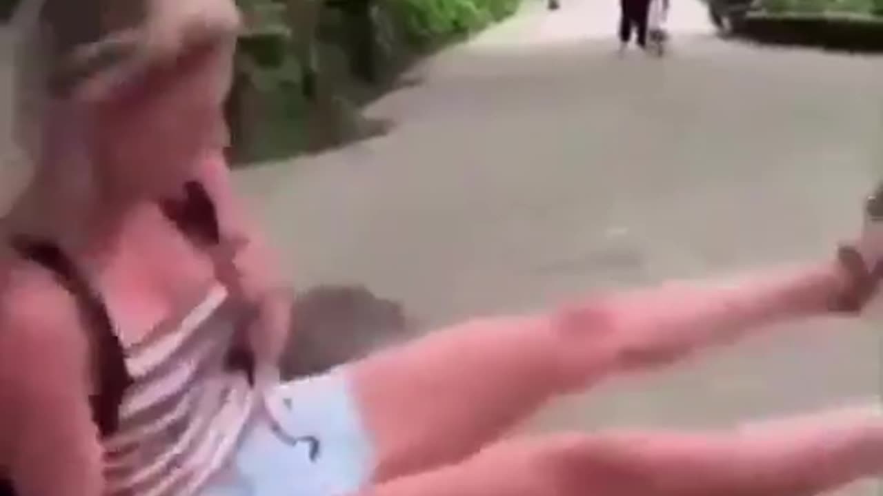 When animals attack ver2