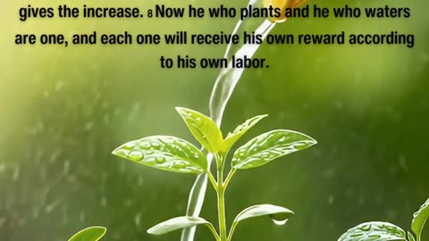 Scripture of the day