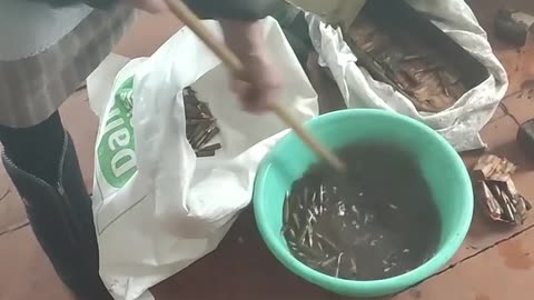 Elderly Woman Cleaning Old Ammunition for Ukrainians