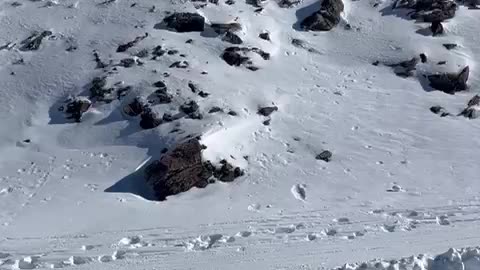 Sierra Nevada Ski Jump Faceplant Fail