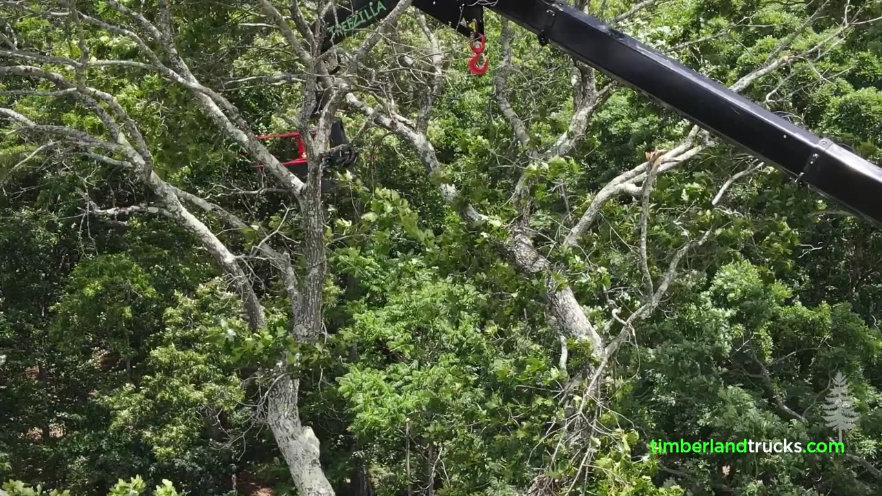 Treezilla with HIAB 515 Training Day