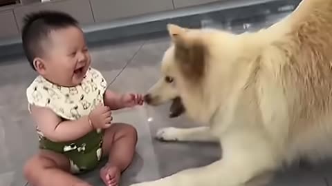 She started working out when she was only 8 months oldCeiling for dogs and babies _funny _cutebaby