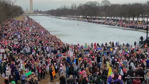 A wide angle view of the protestors on the Mall.