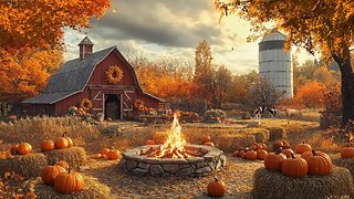 Daytime Pumpkin Farm Outdoor Scene