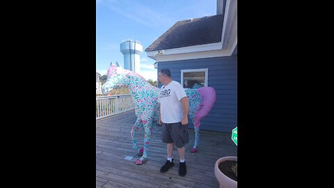 Horses Gone Wild - SMR 01 OCT 25