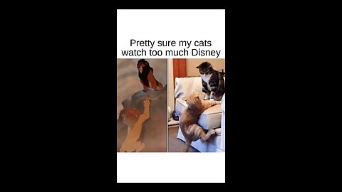 “When Life Gives You Funny Mood | Ultimate Meme Shorts”