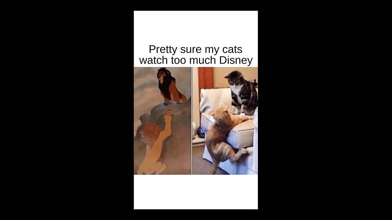 “When Life Gives You Funny Mood | Ultimate Meme Shorts”
