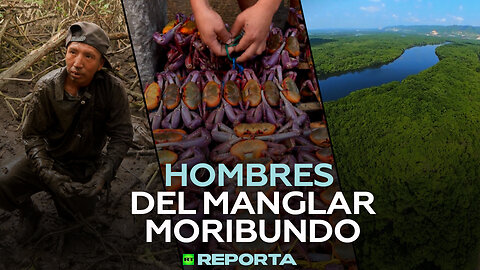 Hombres del manglar moribundo