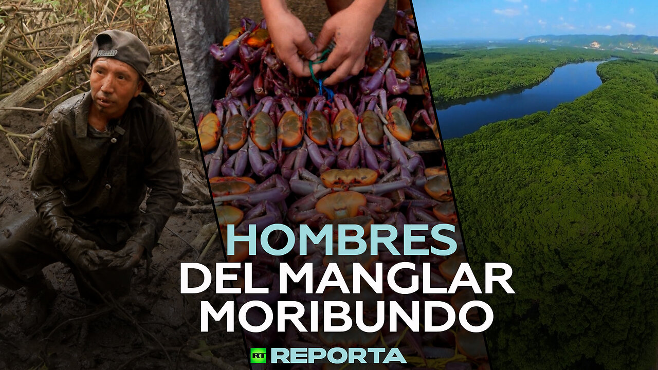 Hombres del manglar moribundo